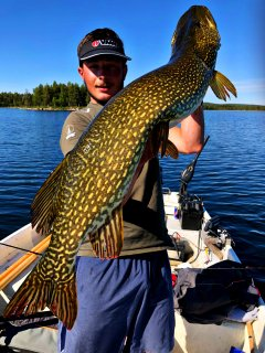 Brochet photo 1
