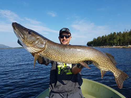 Brochet photo 3