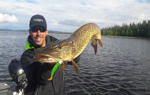 Brochet photo 4