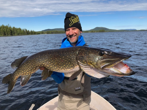 Brochet photo 6