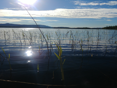 Climat photo 1