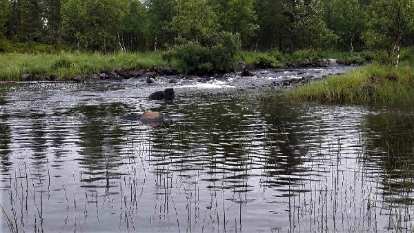 Float tube photo 2