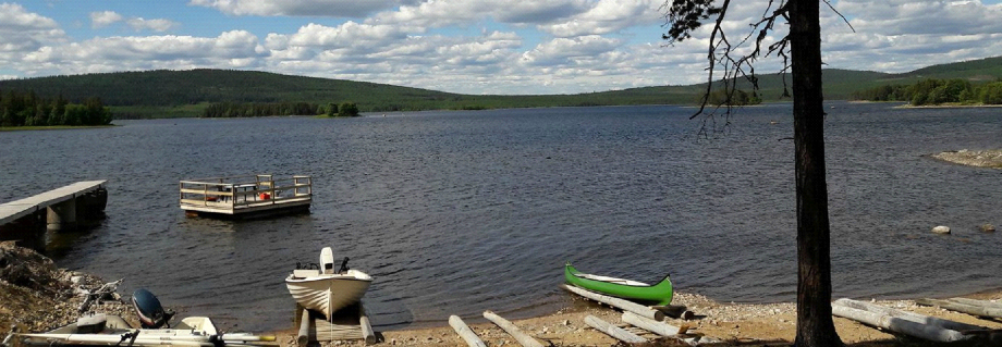 Ponton motorisé photo 1